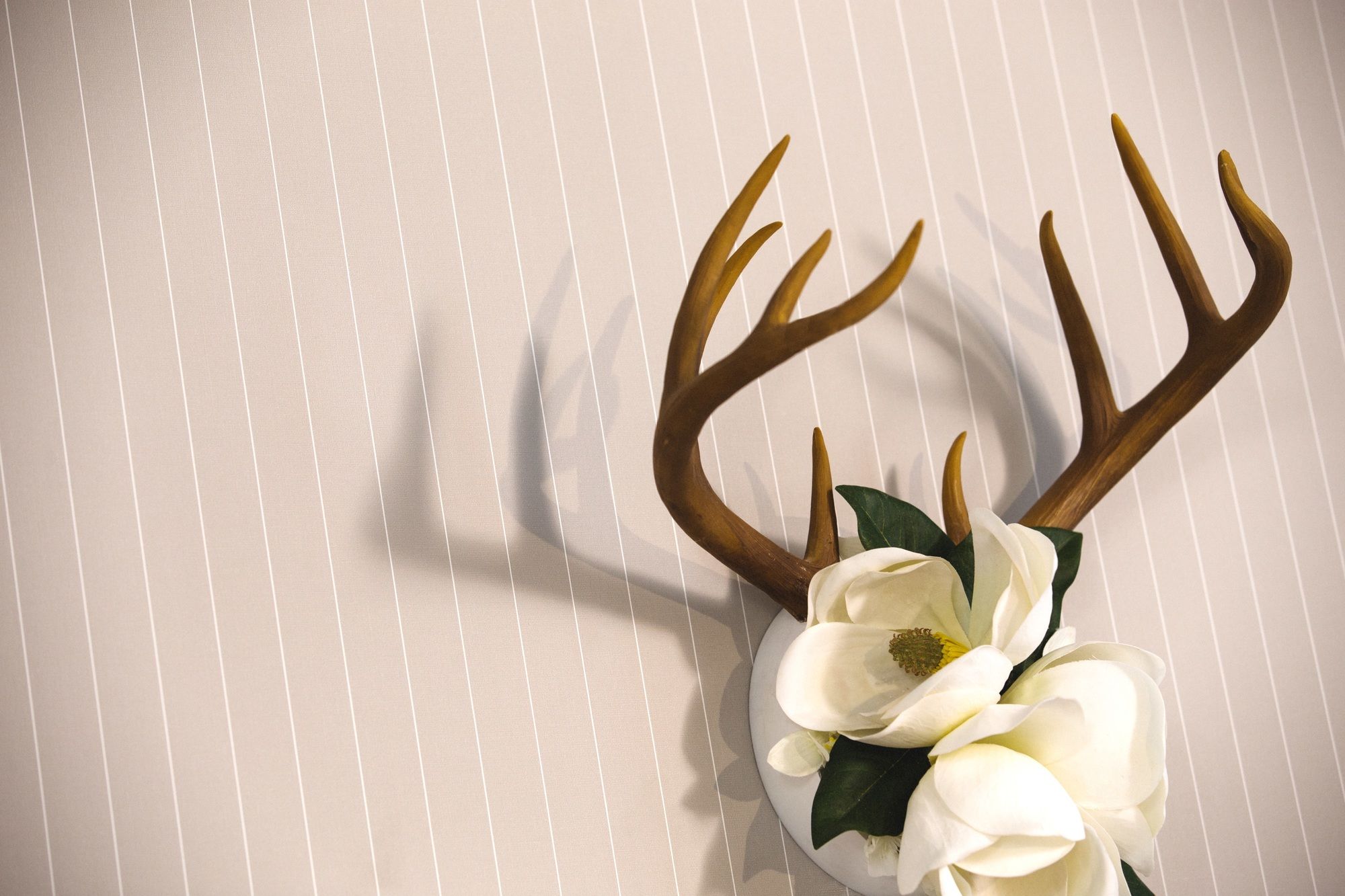 Фото Kimpton Cardinal Hotel, an IHG Hotel