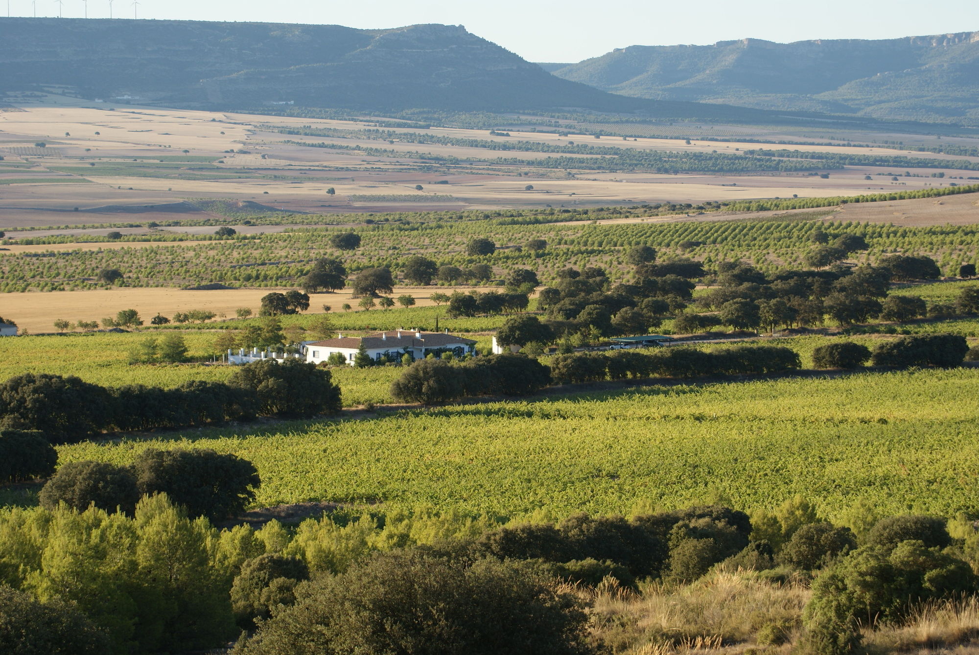 Фото Finca El Romeral