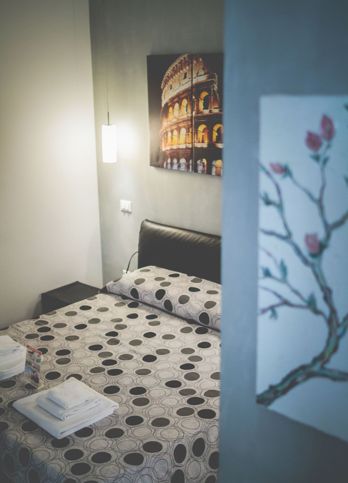 Фото Domus Alberti