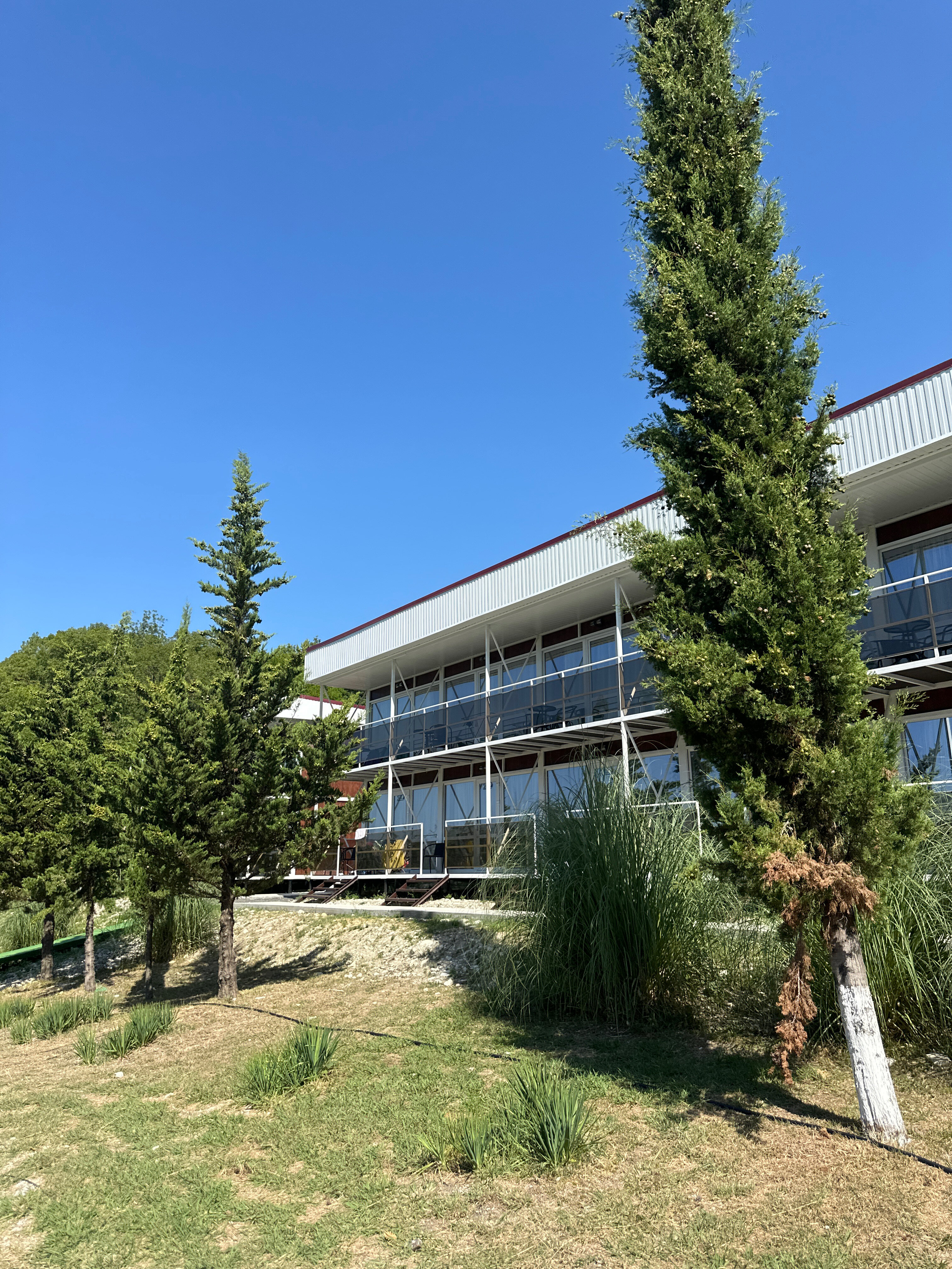 Фото Лунная поляна