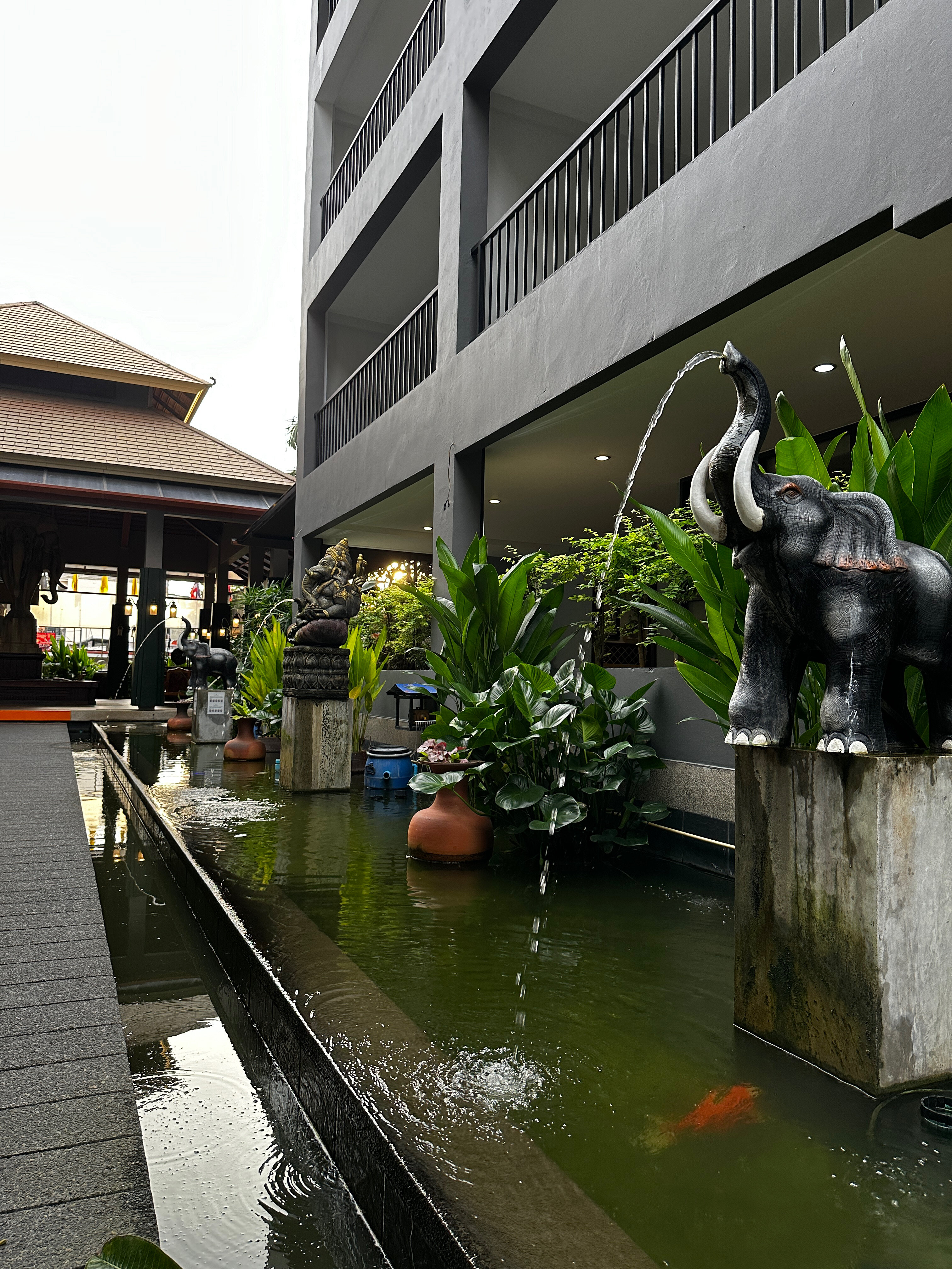 Фото Tuana Hotels Casa Del Sol