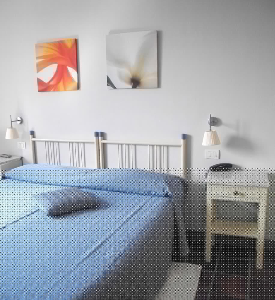 Фото Hotel Le Renaie