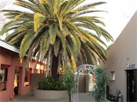 Фото Oasis Motel