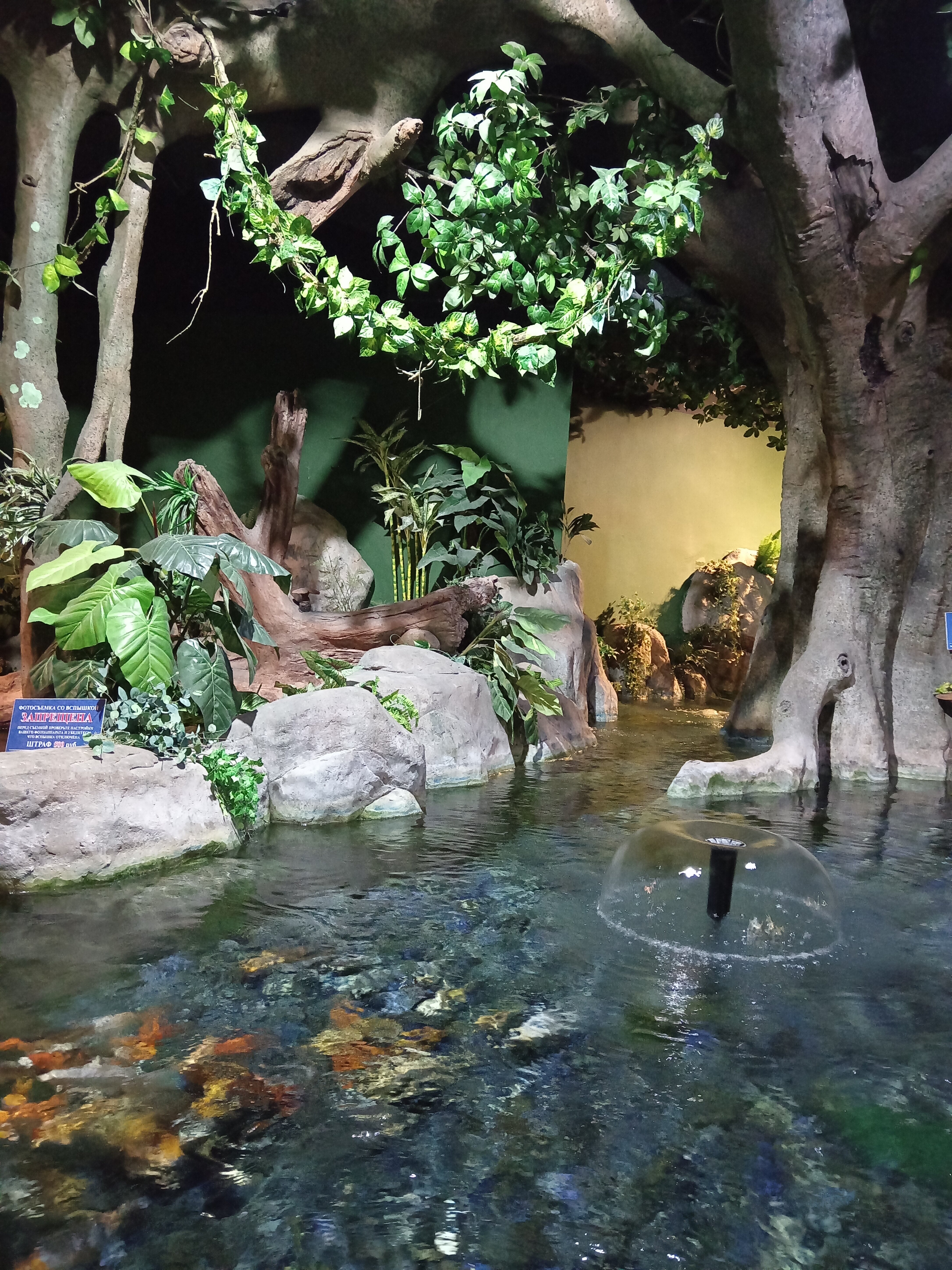 Фото Страна магнолий