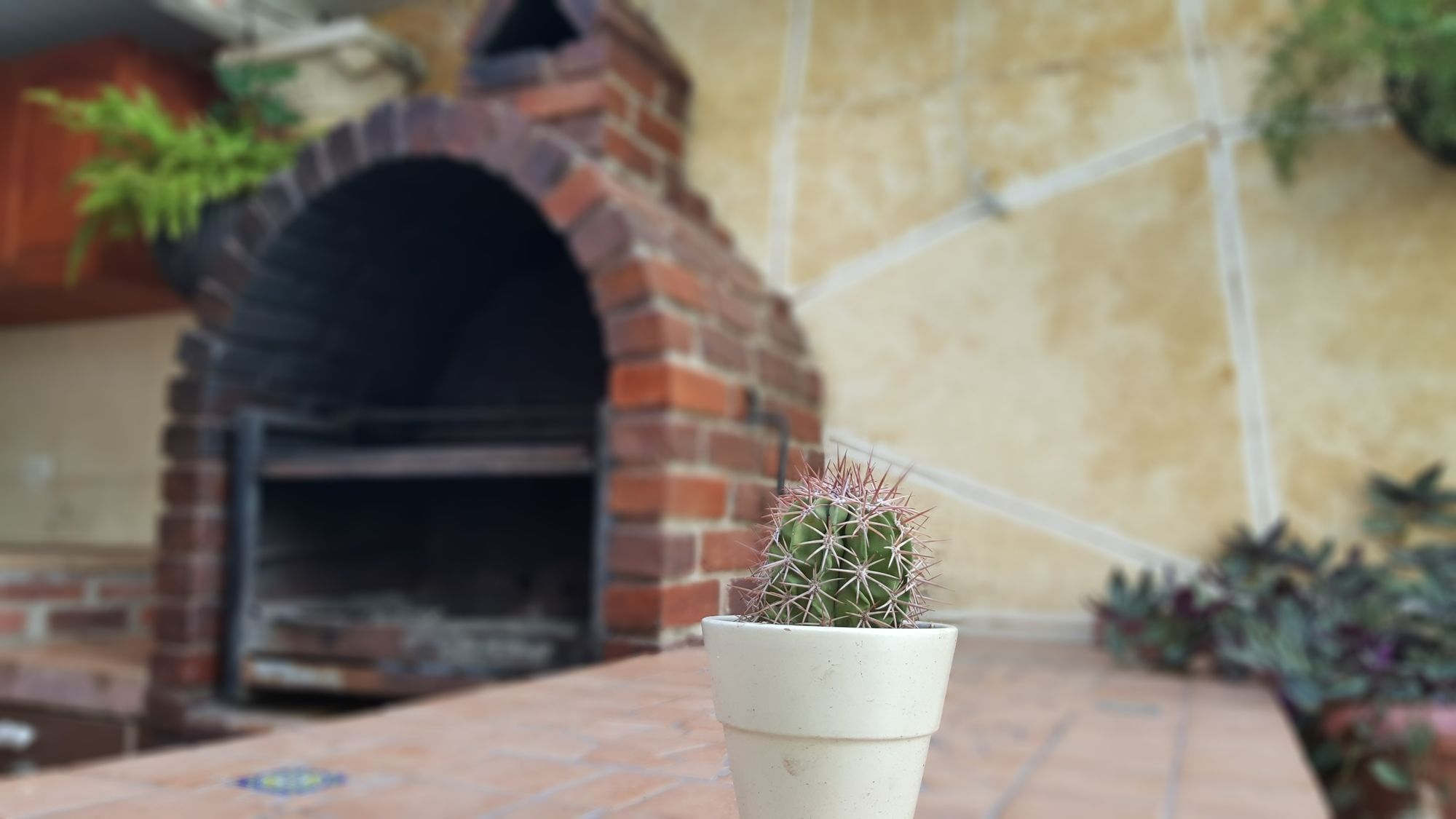 Фото Sleeps 16 Palm Beach - 6br Villa w Private Pool