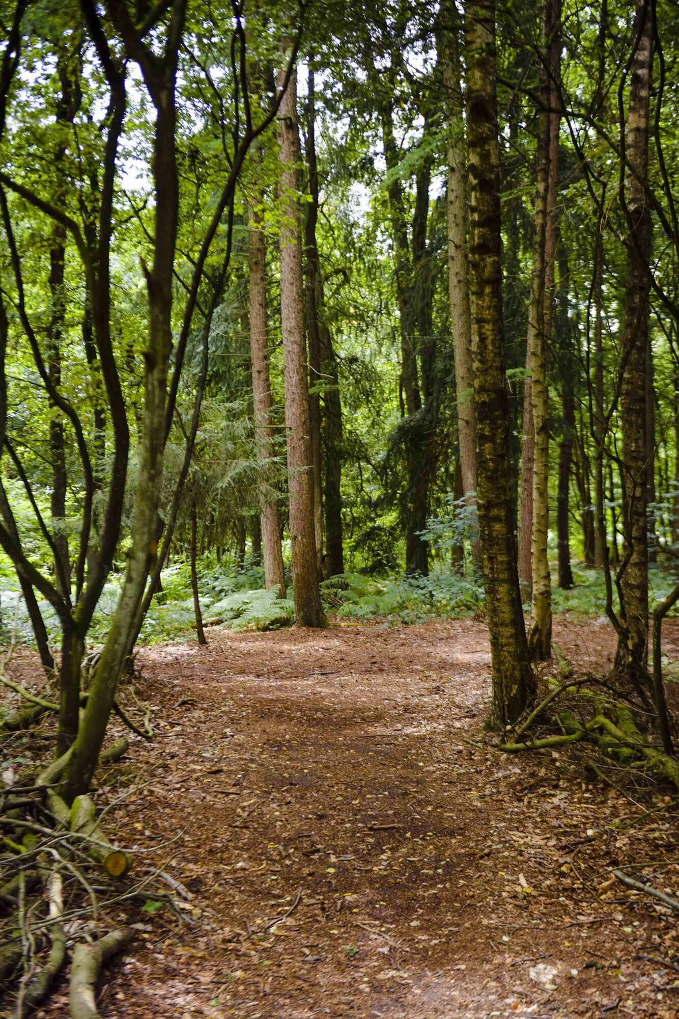 Фото Fletcher Hotel-Restaurant Amersfoort
