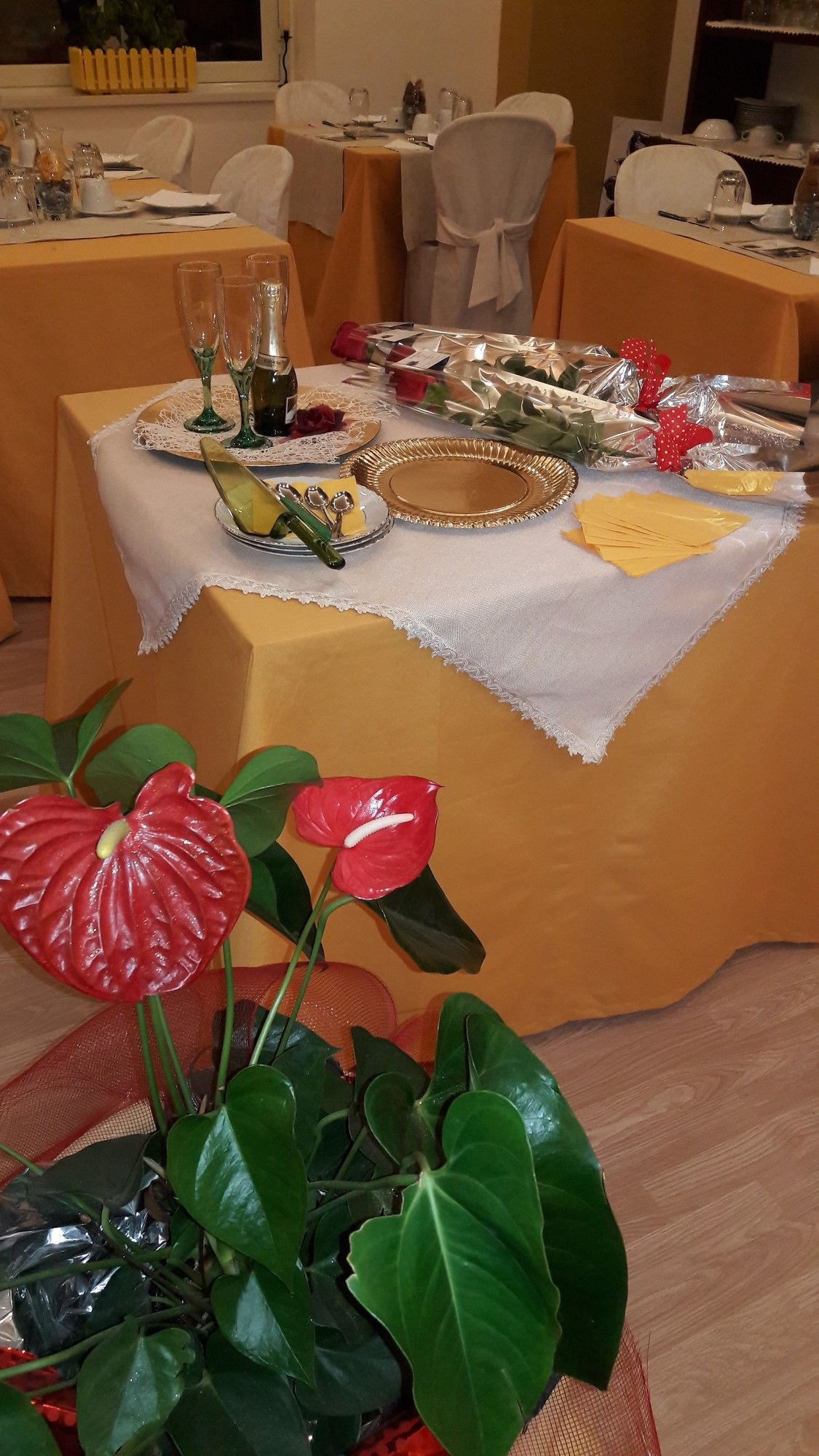 Фото La Terrazza Palace