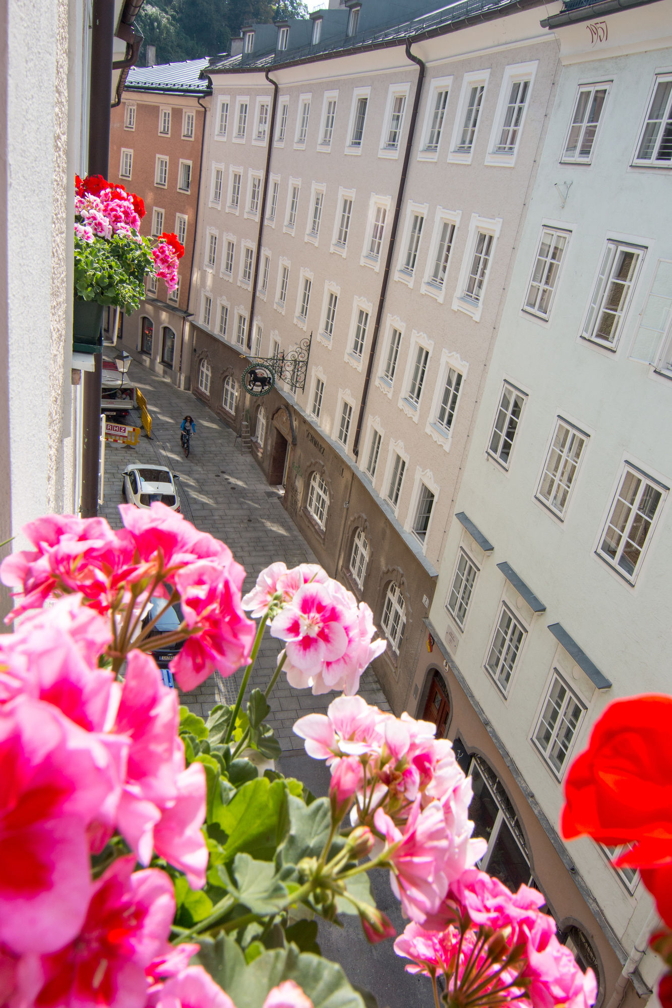 Фото Cityhotel Trumer Stube