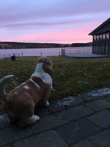 Гостиница Hotell Östersund