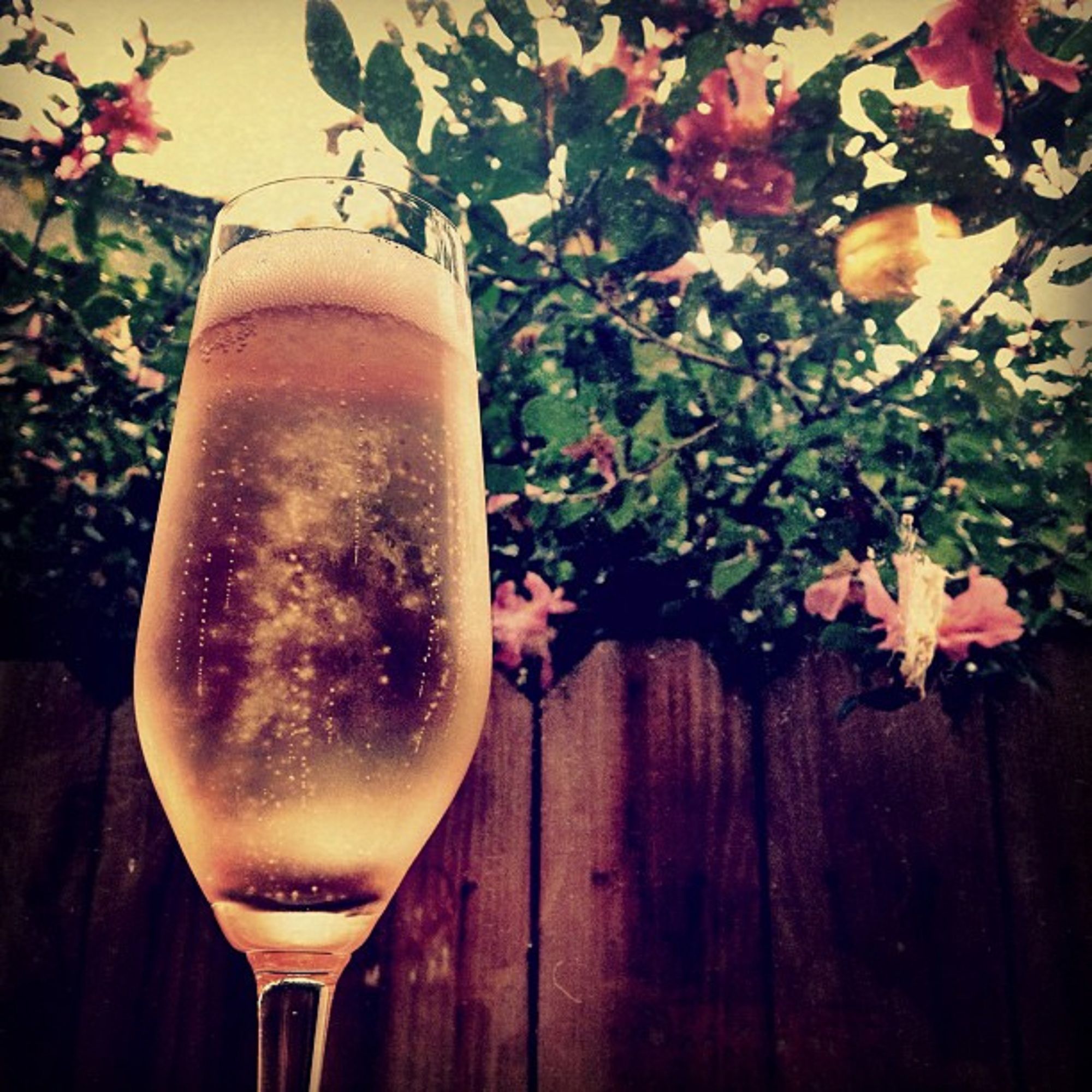 Фото Kabira Country Club