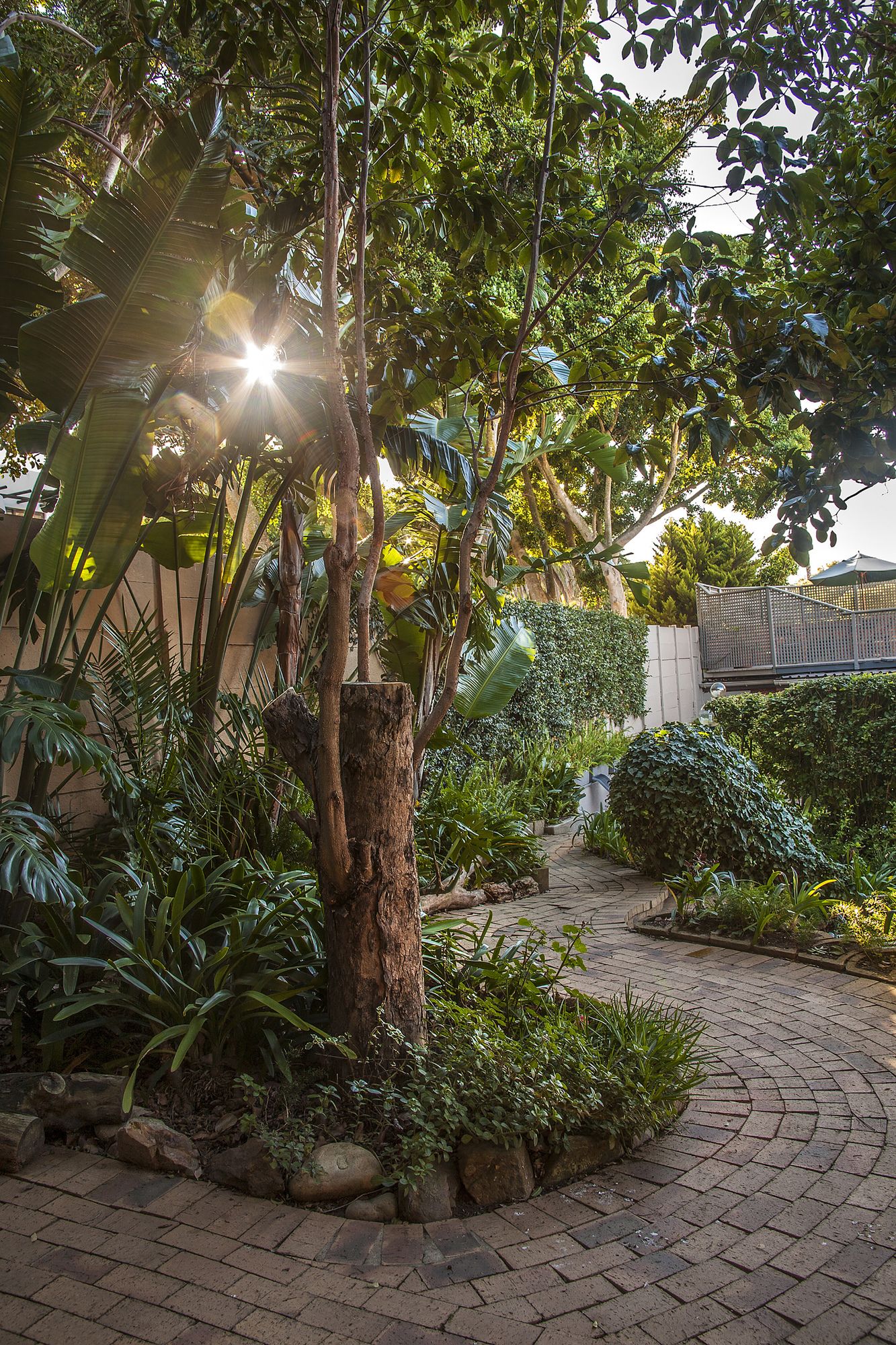 Фото Maroela House