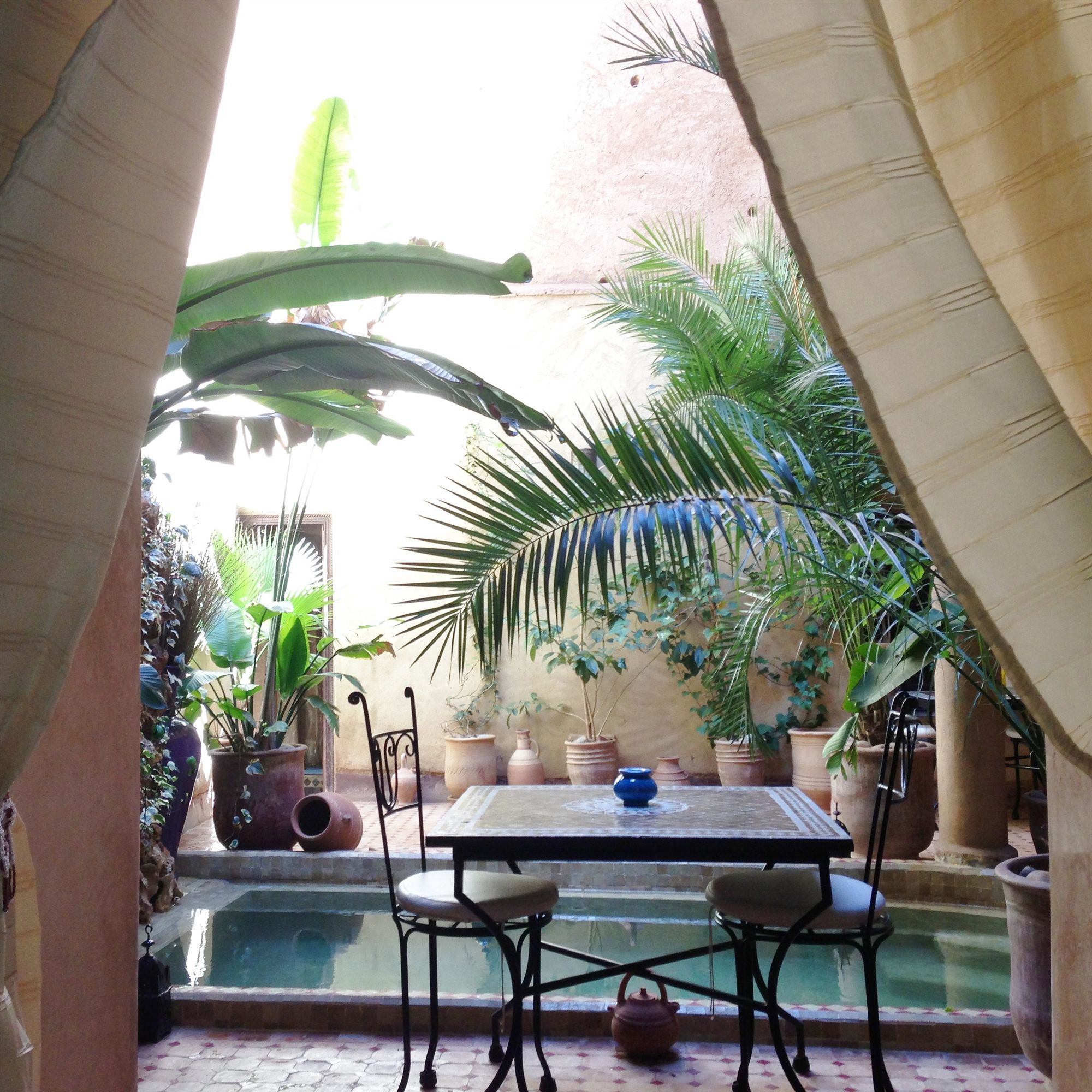 Фото Riad Mehdia