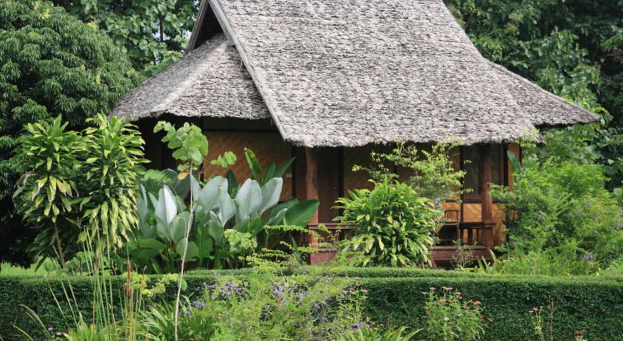 Фото 32994703636