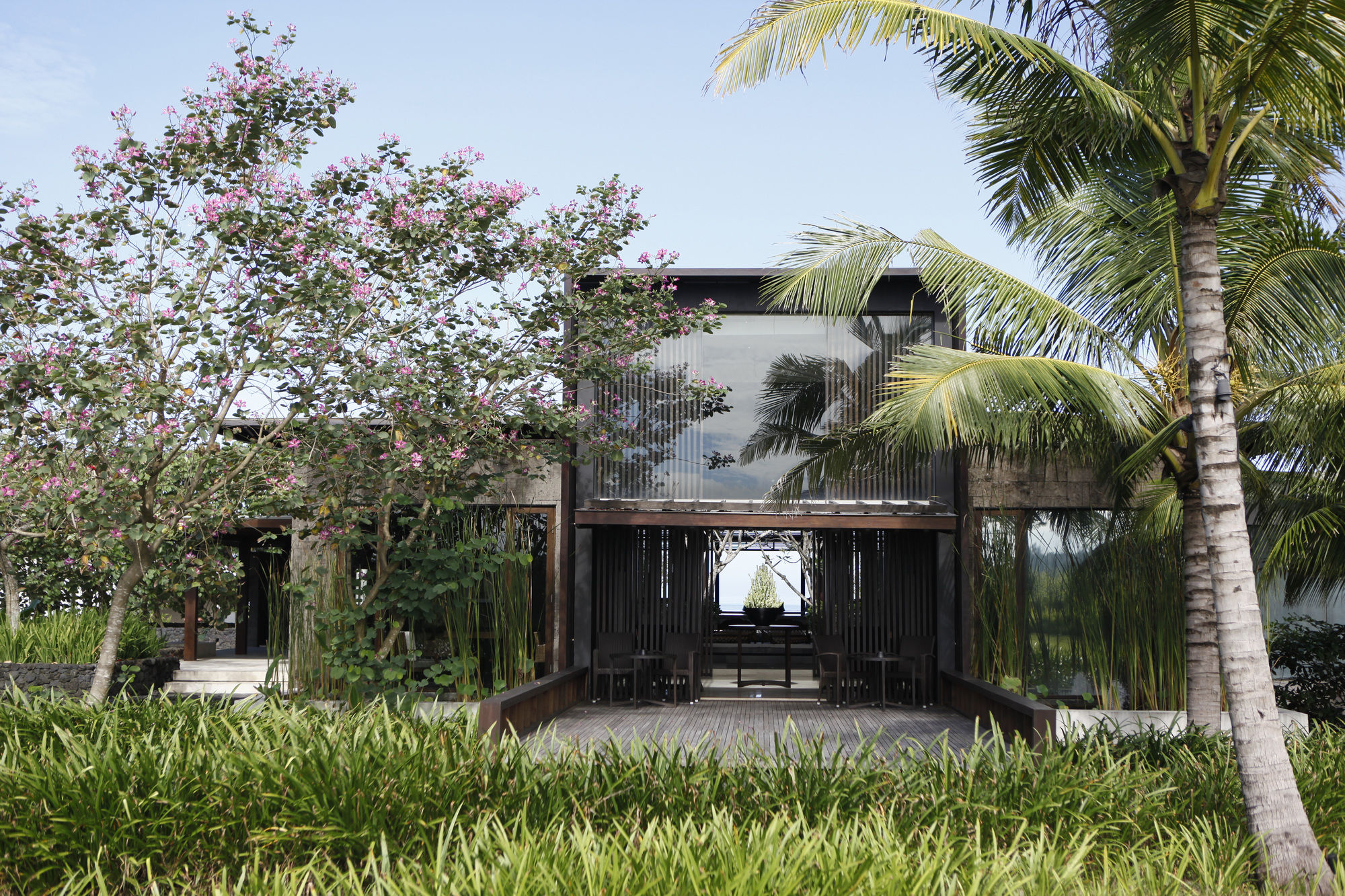 Фото 42857056531