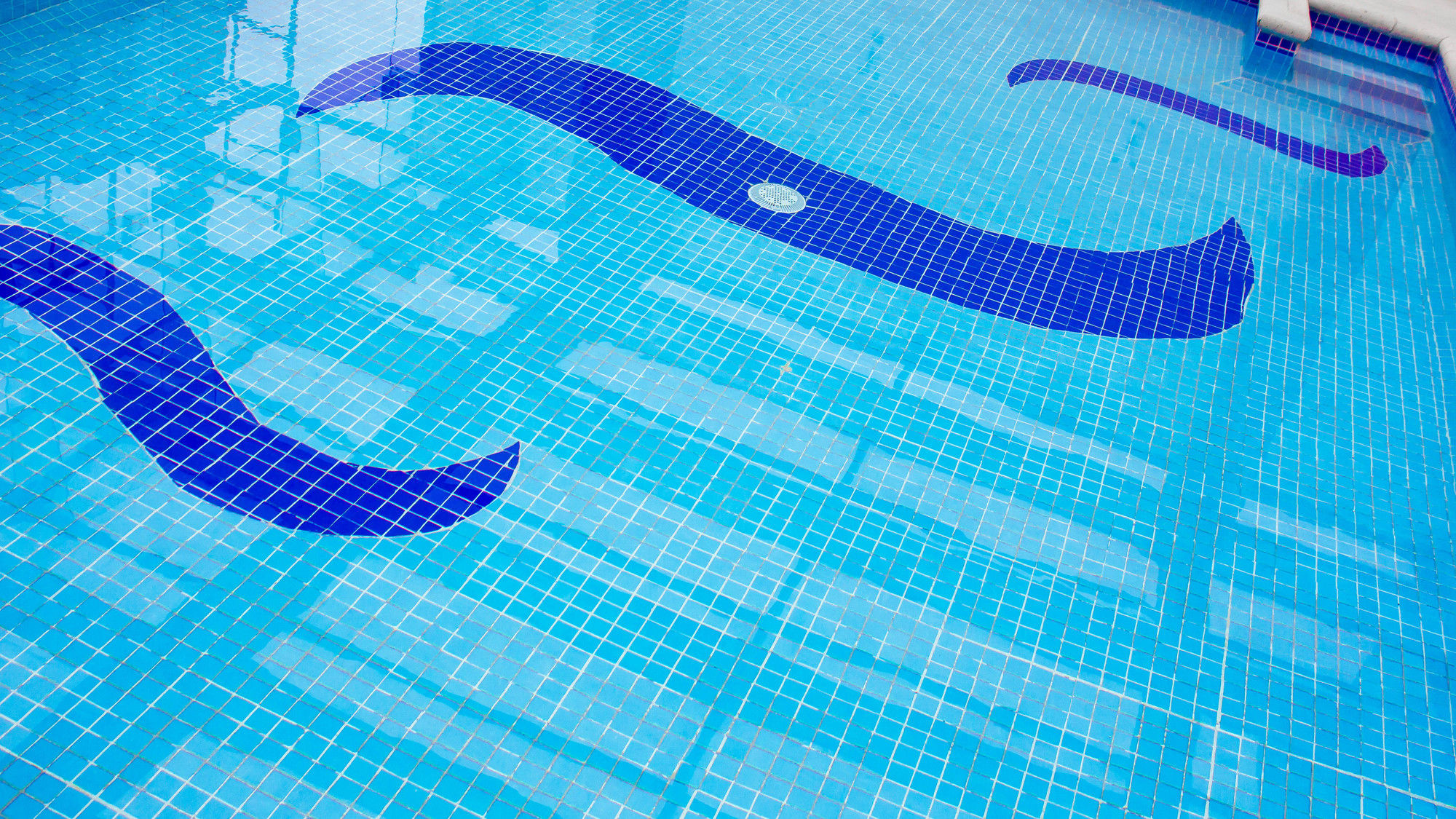 Фото Holiday Inn Orizaba