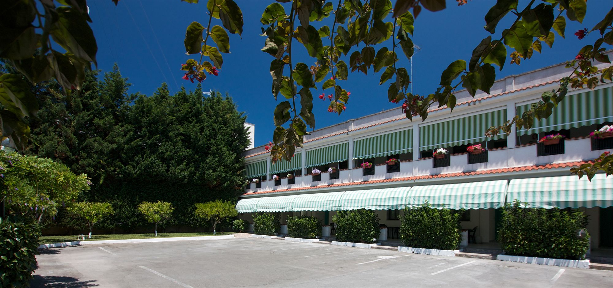 Фото Hotel Residence Nemo