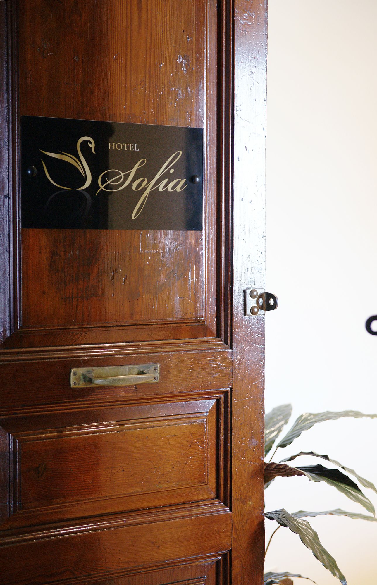 Фото Hotel Sofia