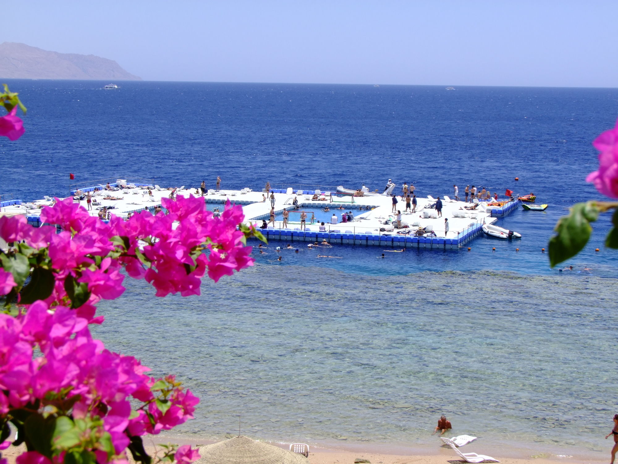 Фото Domina Coral Bay Elisir