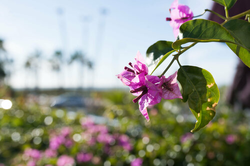 Гостиница Masd Mediterráneo в Кастельдефельсе