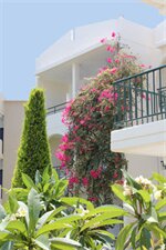 Фото Sea Melody Beach Hotel & Apartments