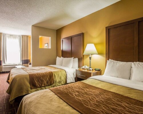 Гостиница Comfort Inn Asheville Airport