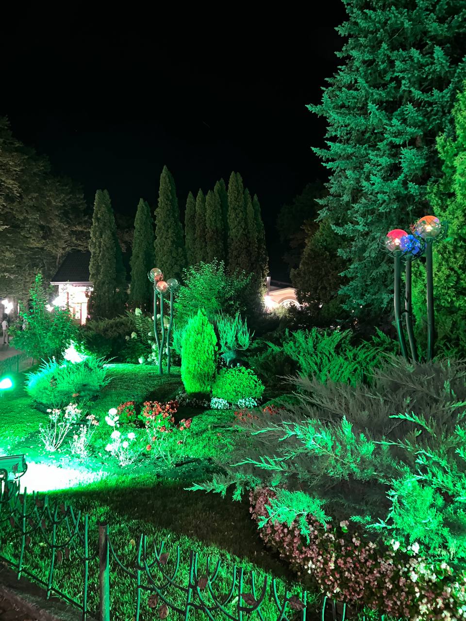 Фото Лесная поляна