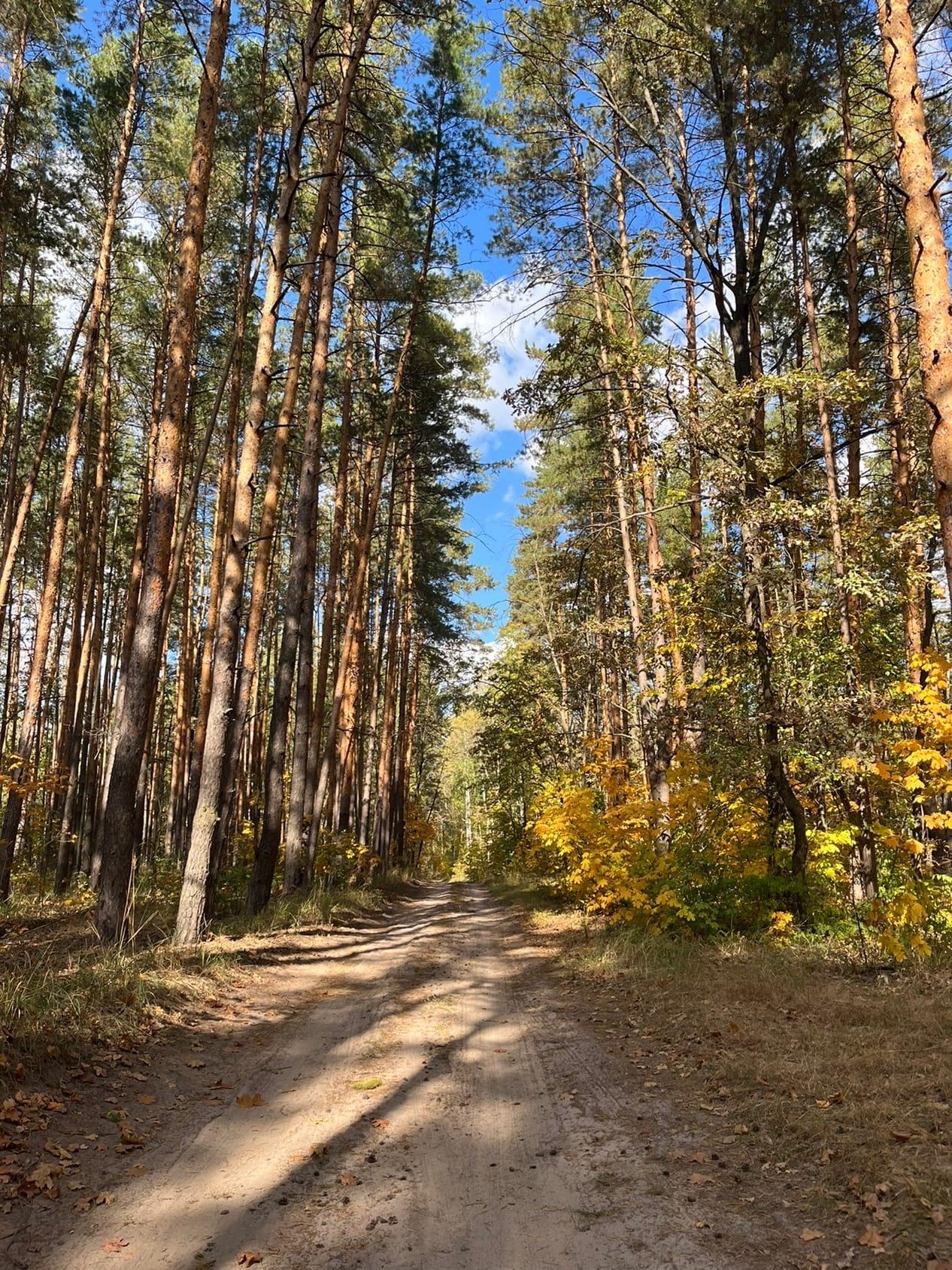 Фото Энергетик