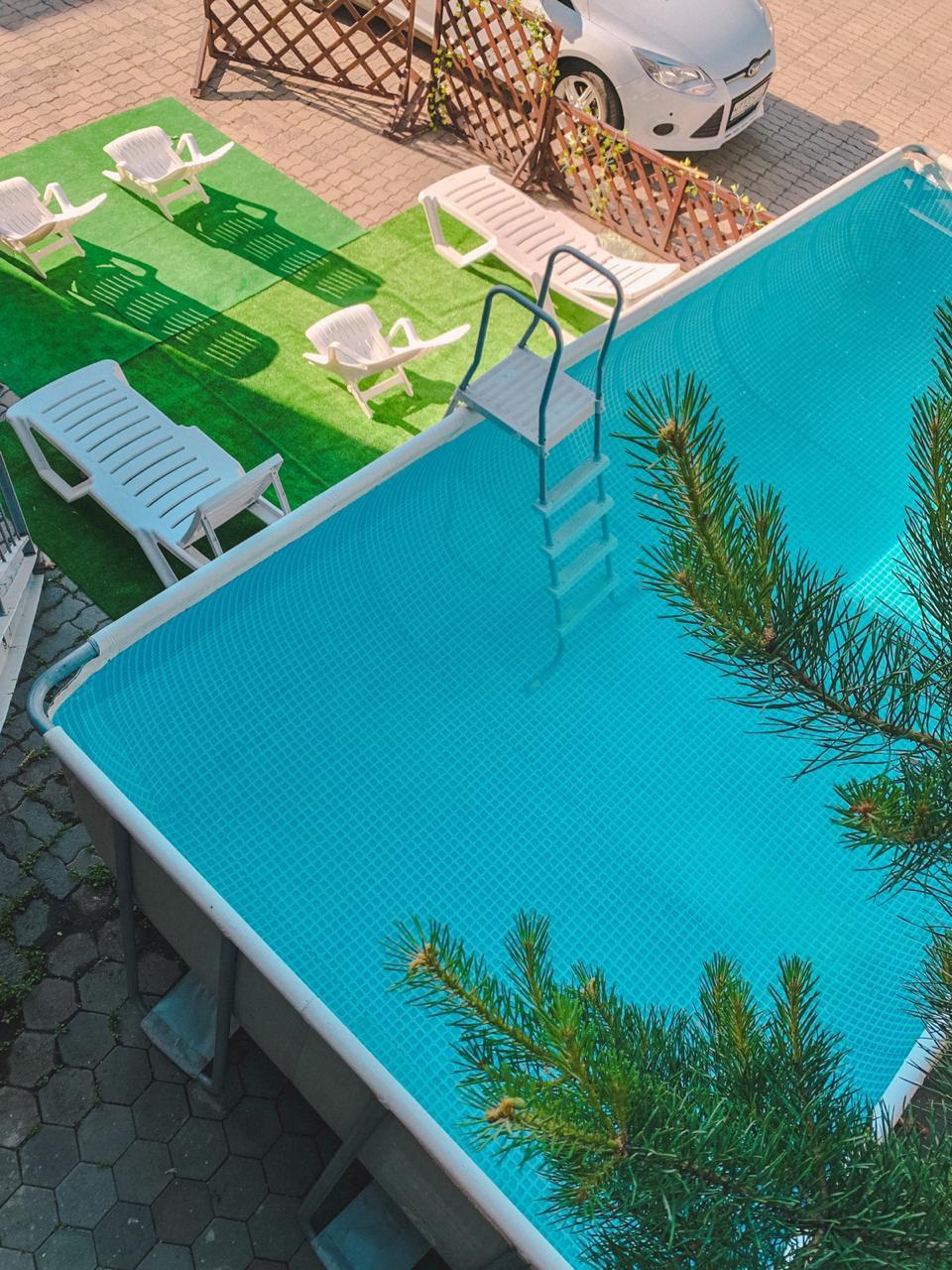 Фото Эдельвейс