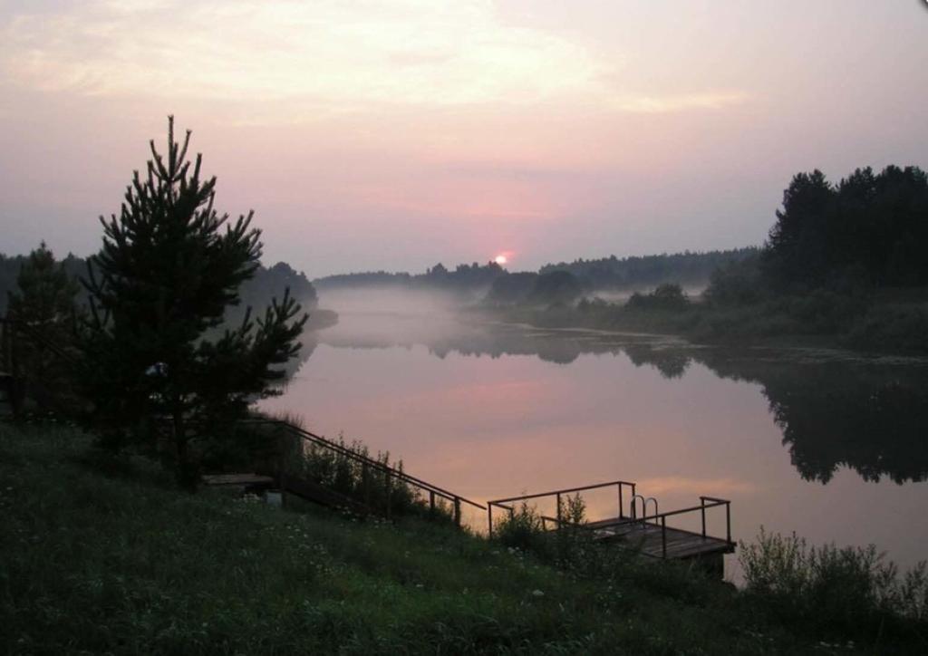 Фото Медведица