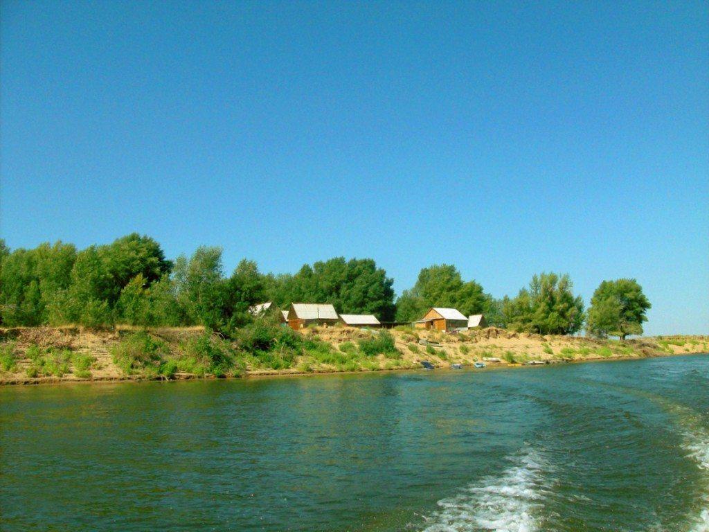 Фото Алимовский плес