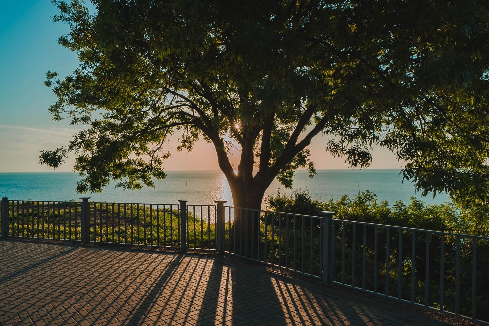 Фото Апарт-отель Анапа