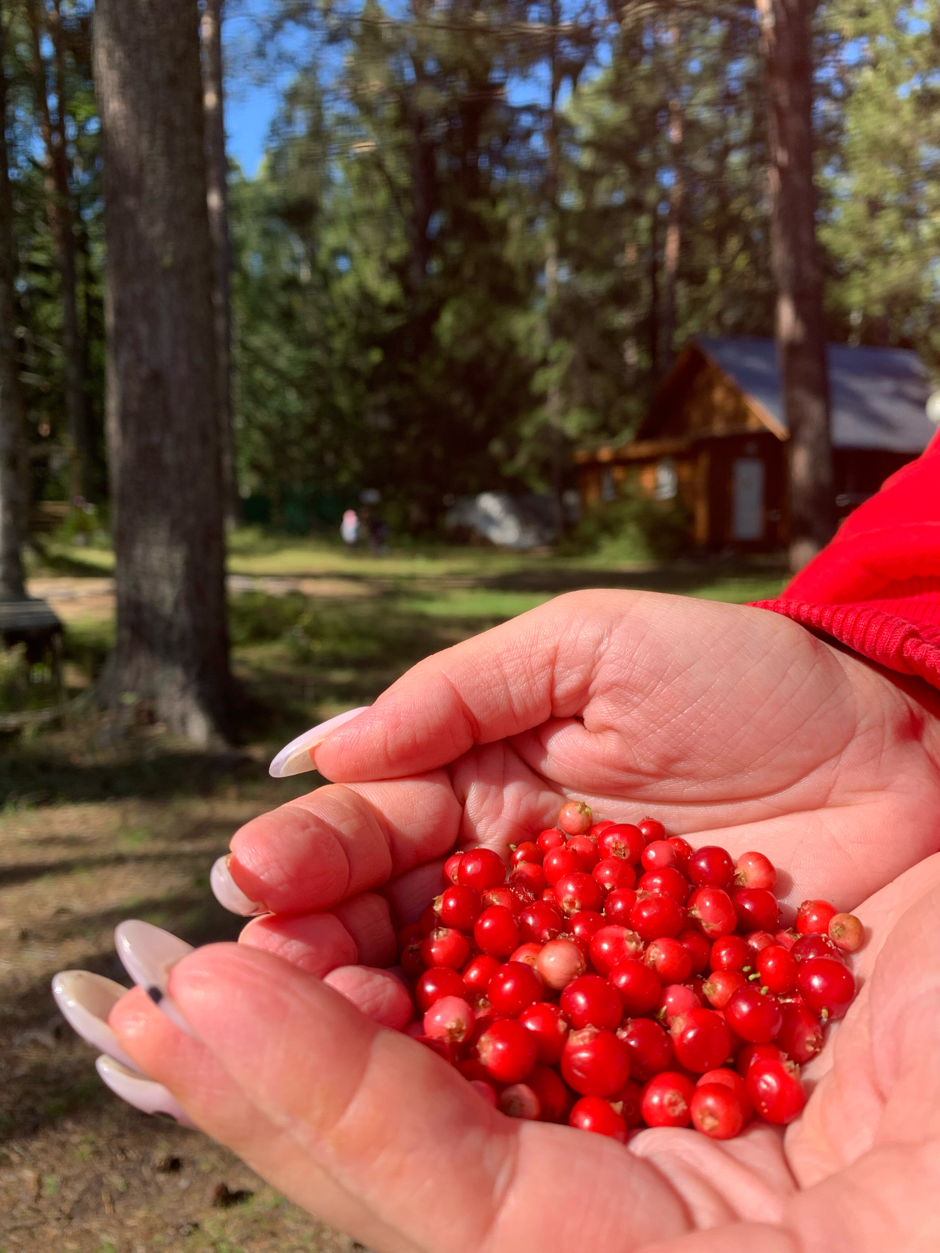 Фото Серебро Онеги