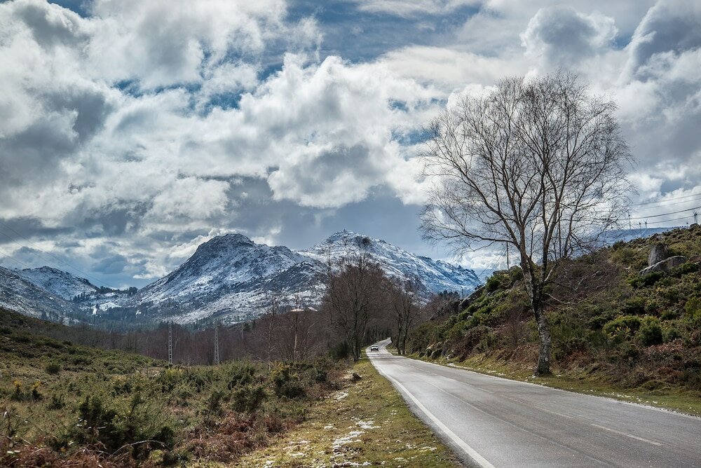 Фото Macheta's Coutry House