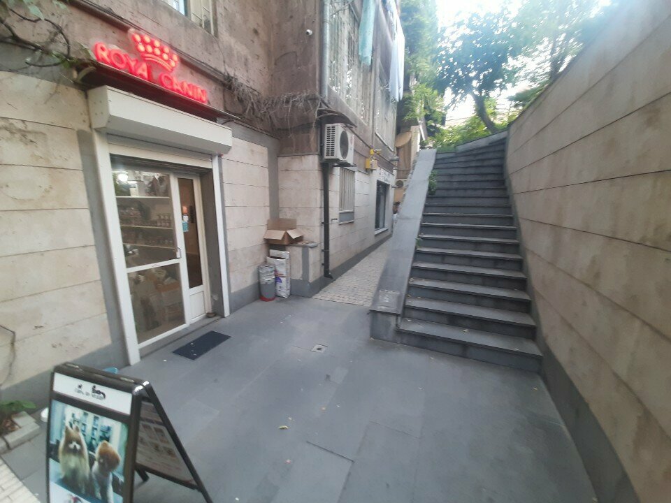 Pet shop Zoo Shop, Yerevan, photo