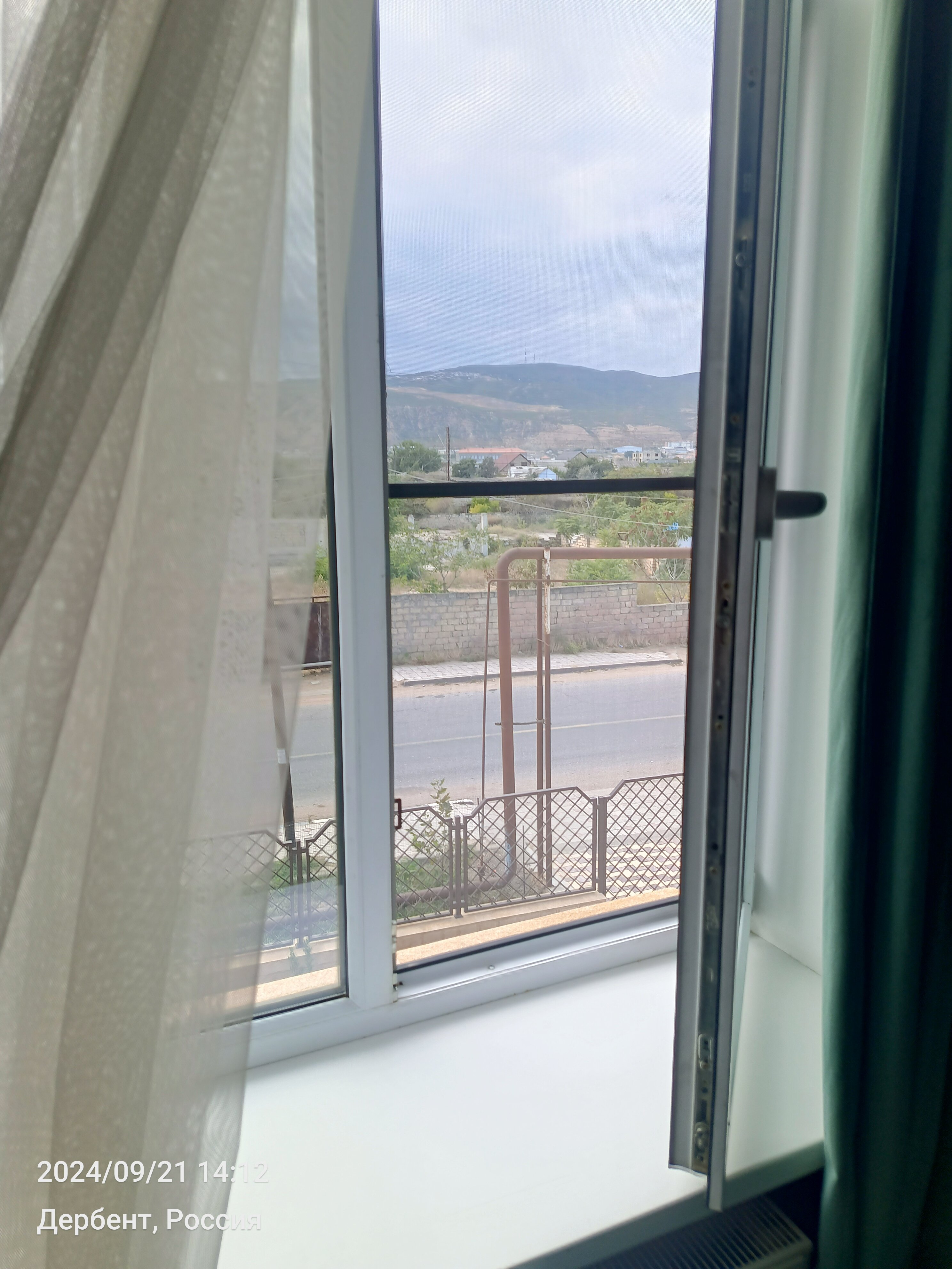 Фото Платан