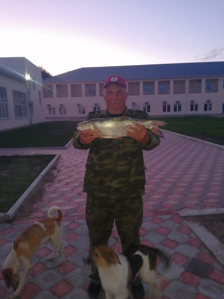 Фото Белый лев