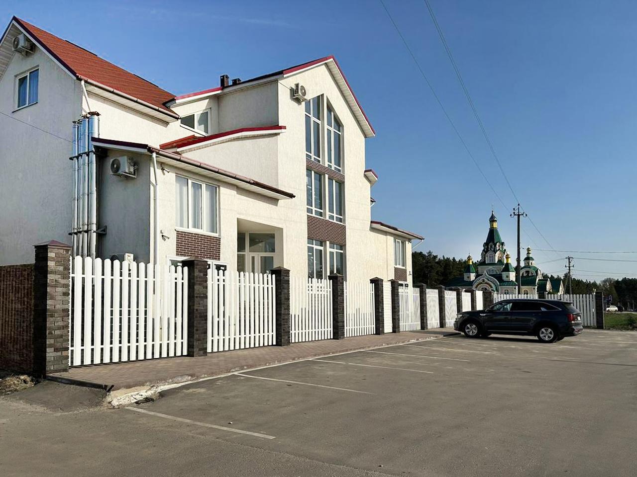 Фото Папоротник