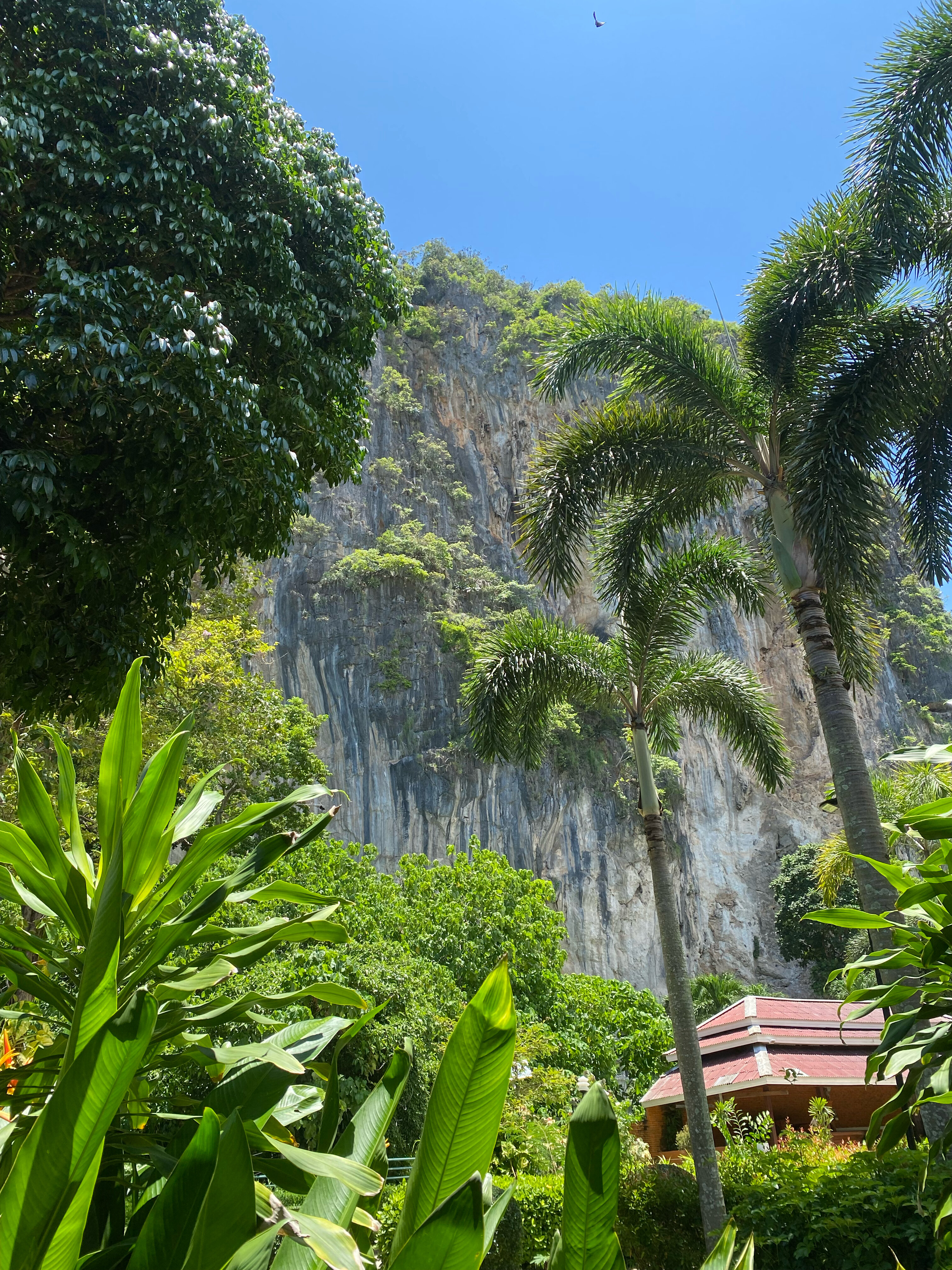 Фото Diamond Cave Resort