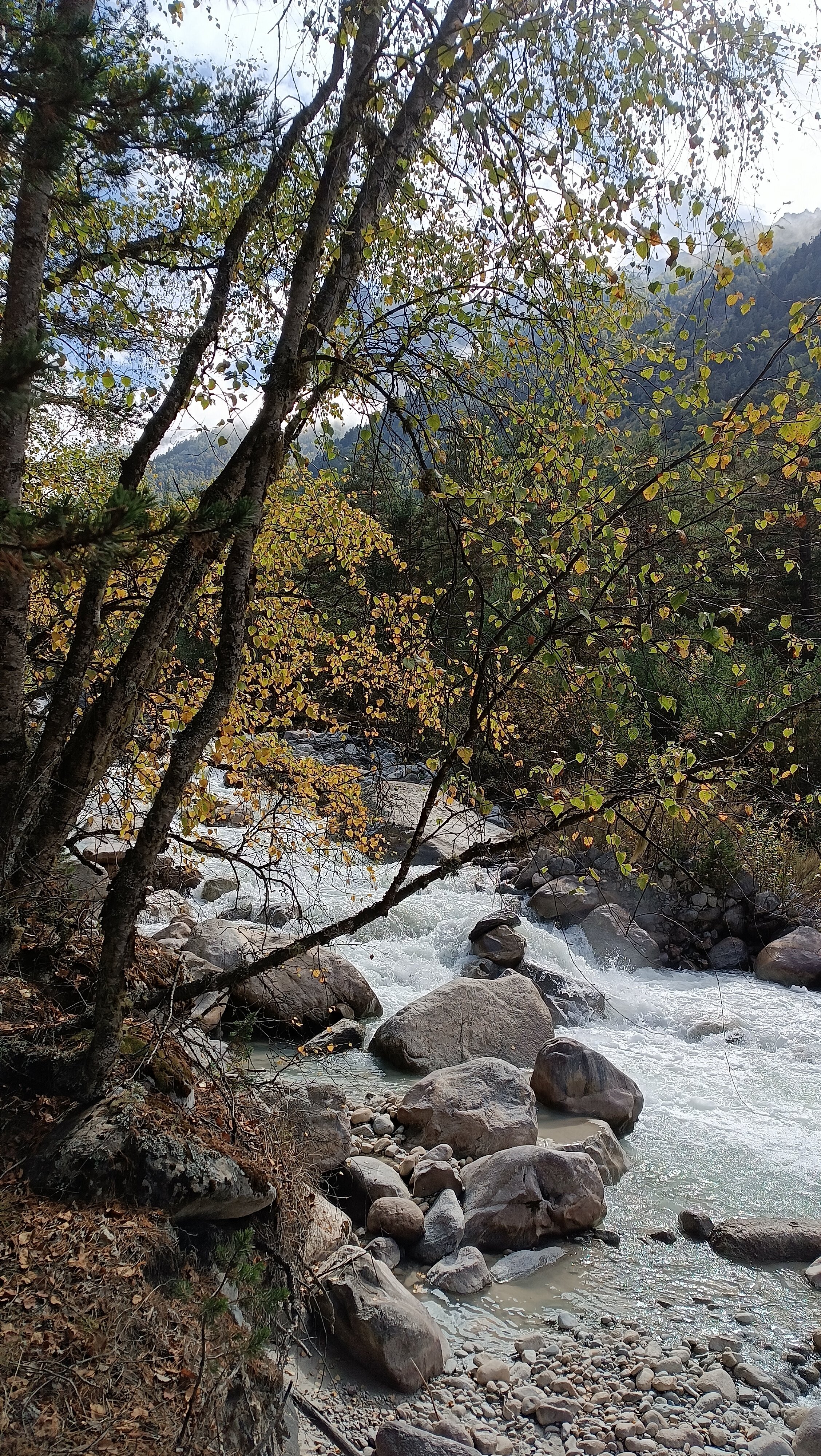 Фото Уллу Эл