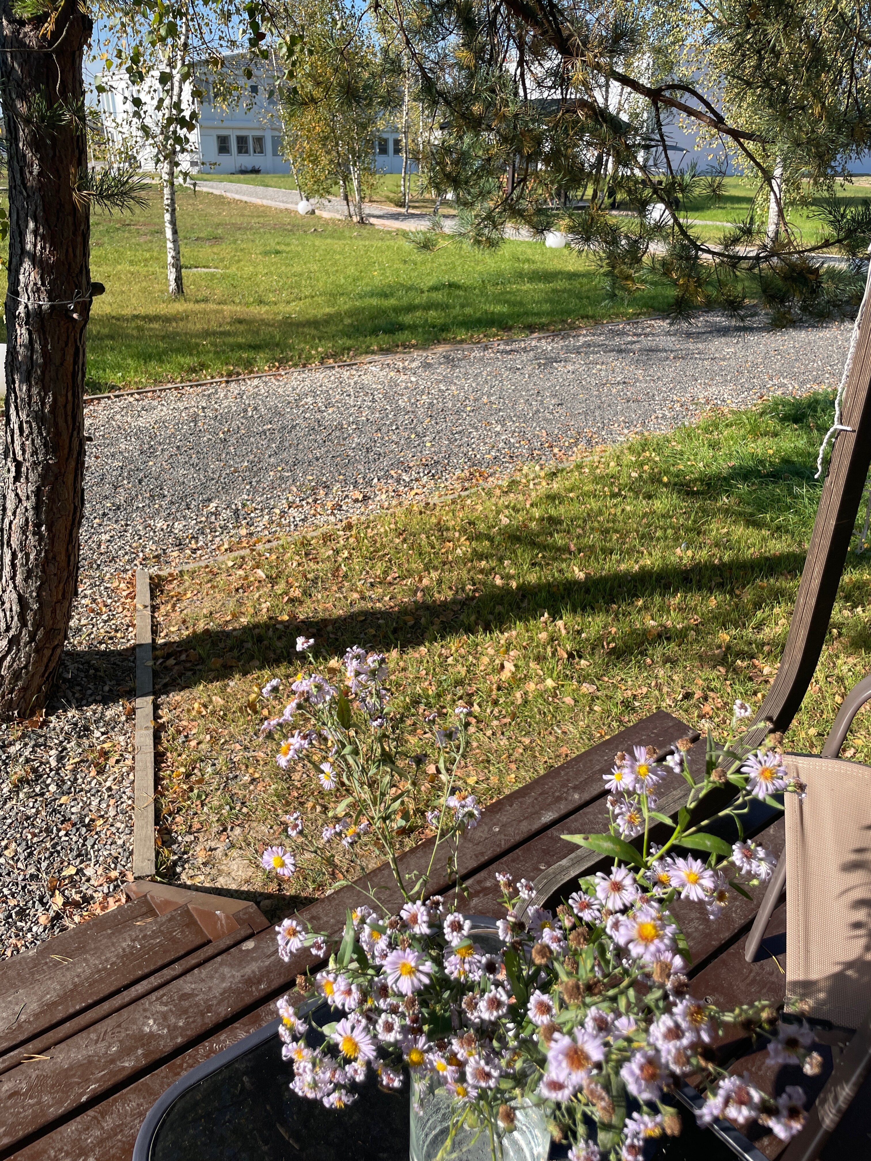 Фото Михеево Старт