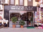 Alagoz Emlak (Bursa, Osmangazi, Orhanbey Mah., 2. İmaret Sok., 7A), real estate agency