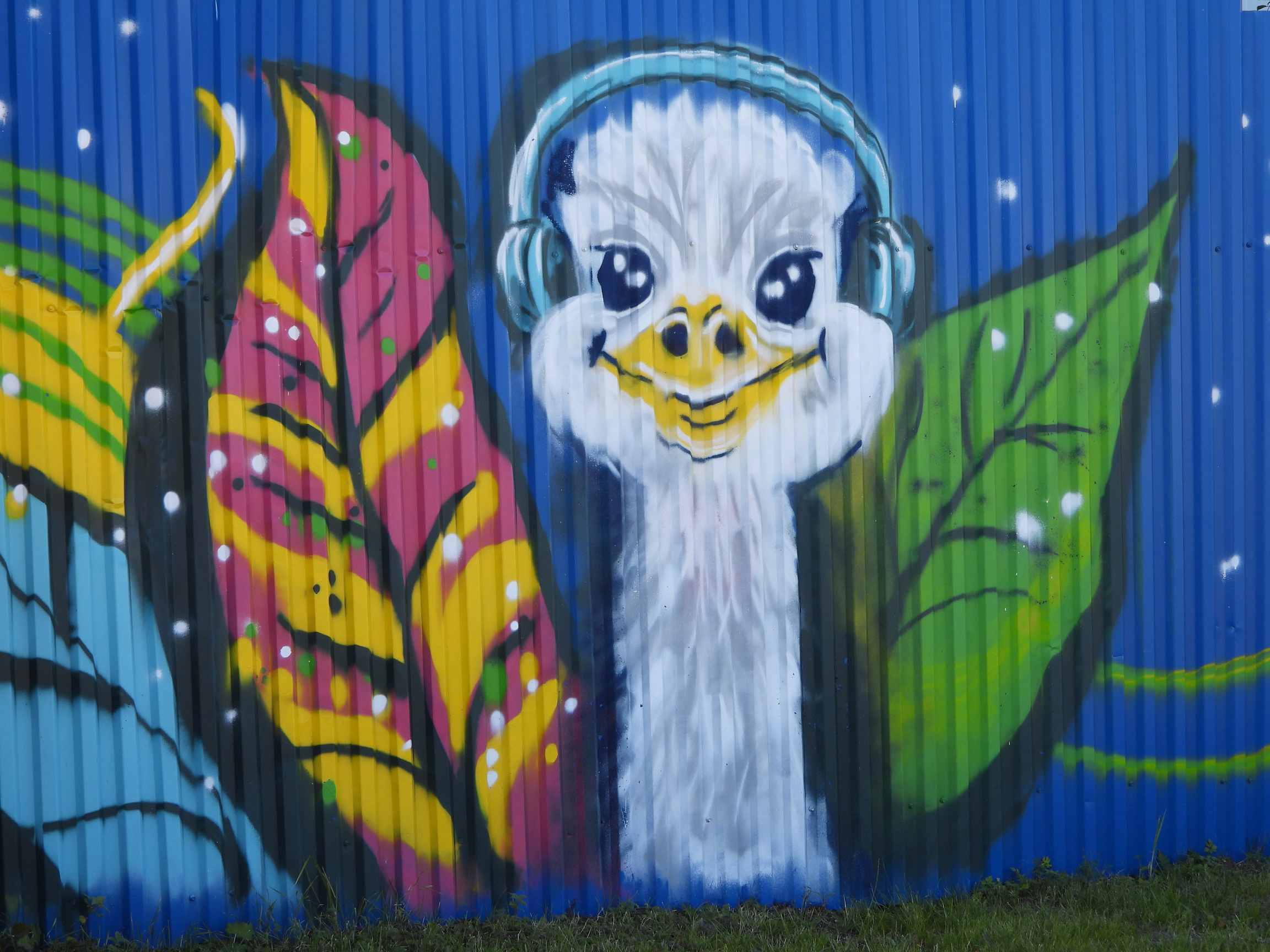 Фото Мурманская страусиная ферма