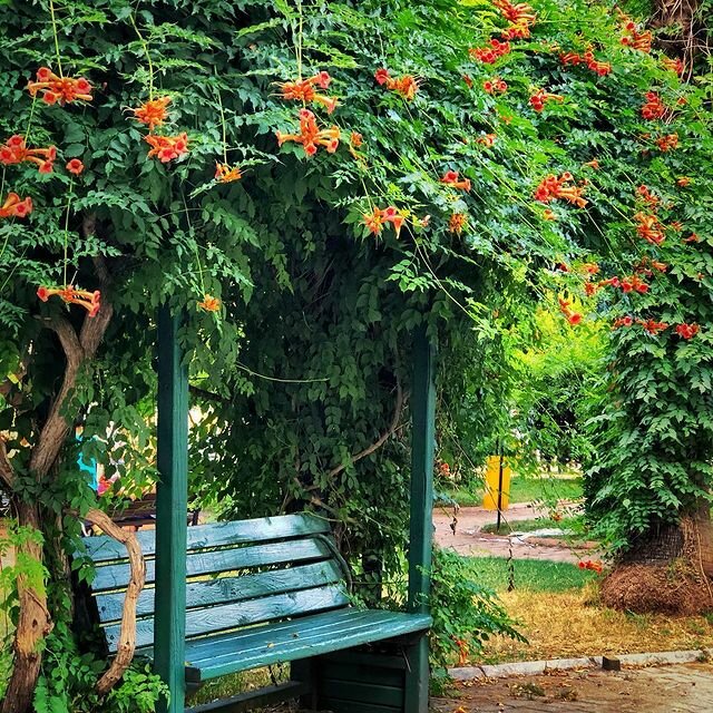 Artificial plants and flowers My Garden Çiçekçilik, Ankara, photo