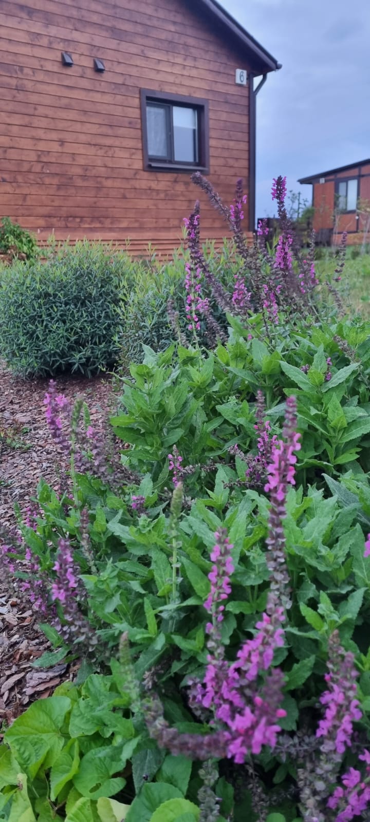 Фото Окское Колесо