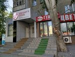 Ficus tree (Bishkek, Joomart Bokonbayev Street, 76), flower shop