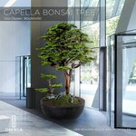 Omnia Concept (Antalya, Muratpasa District, Yenigol Neighborhood, Defne Street, 40/1), artificial plants and flowers