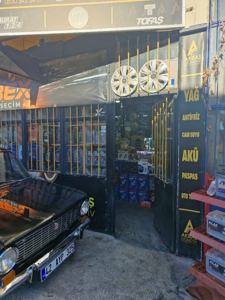 Auto parts and auto goods store Akbas Automotive, Konya, photo