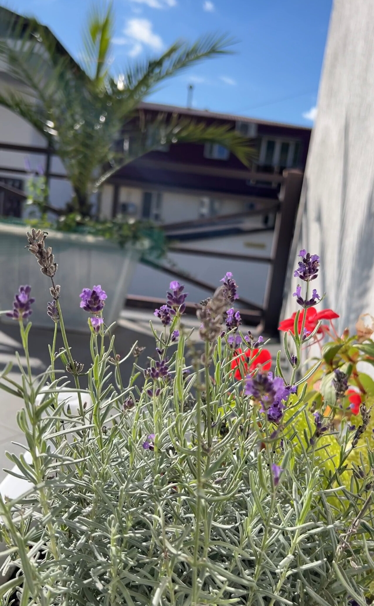 Фото Новая студия