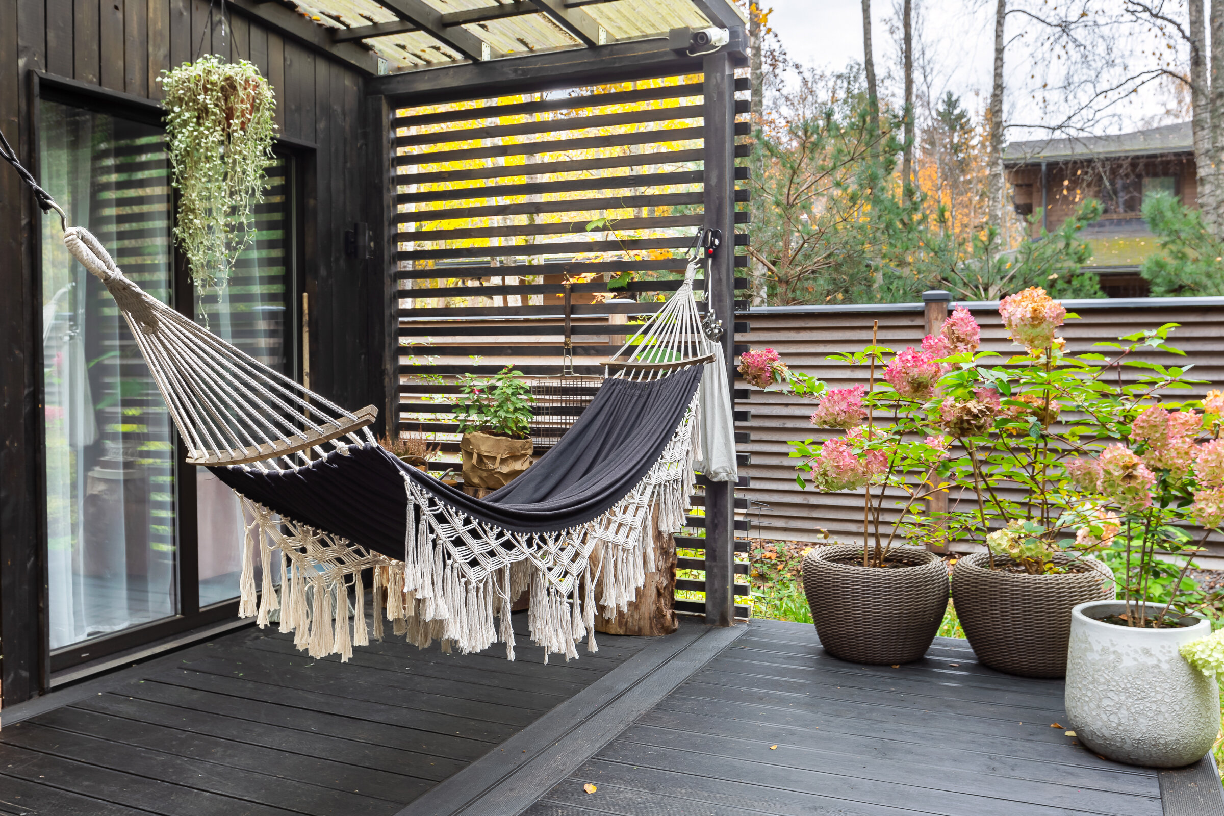 Фото Солнечные дачи