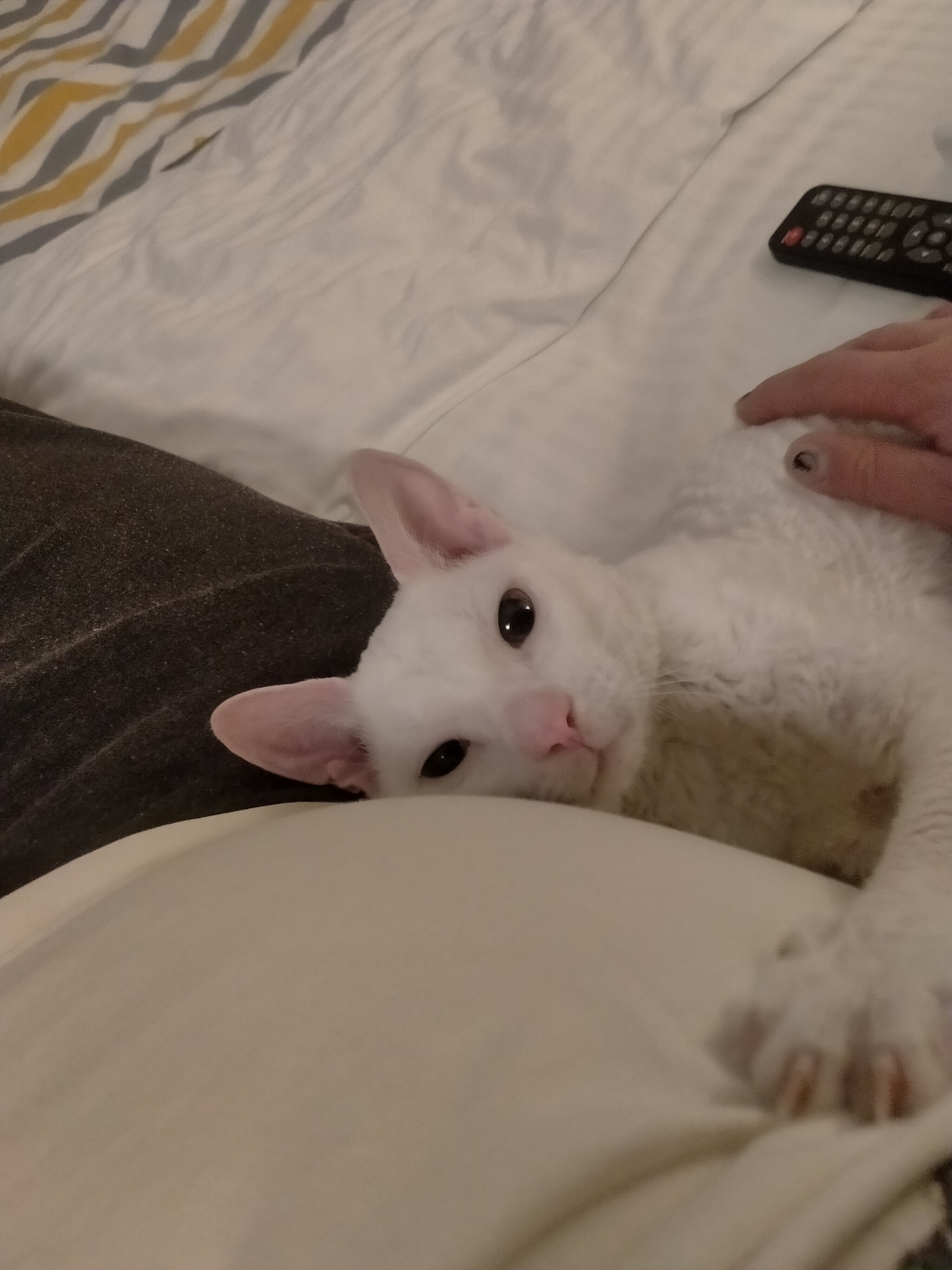 Фото Джаз Отель